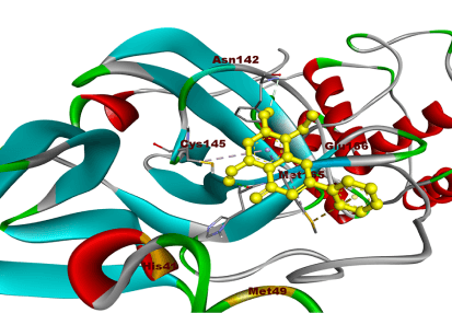 Molecular Docking